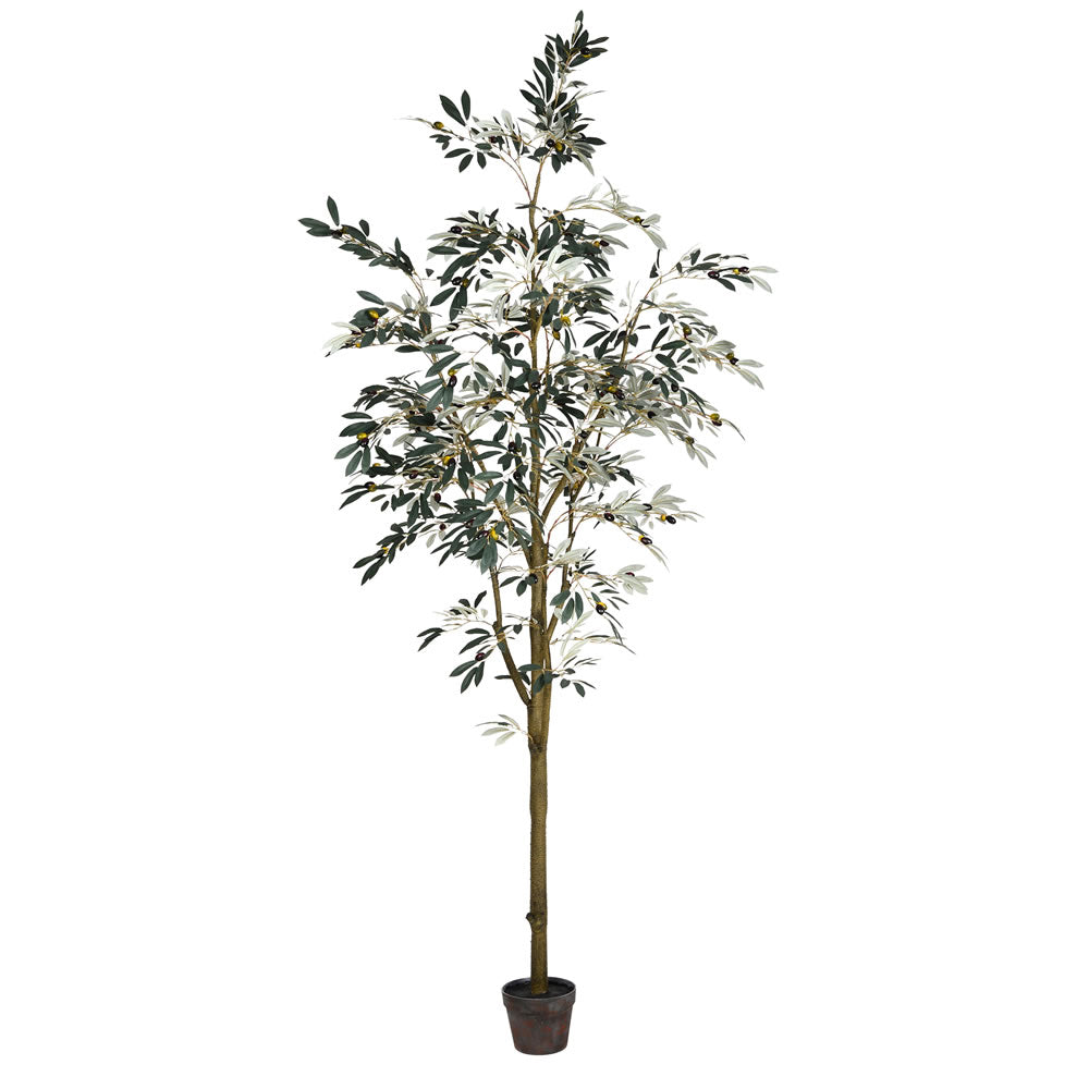 8 ft Potted Olive Tree - Crane & Home