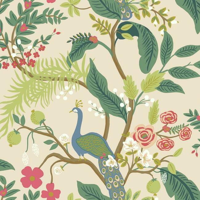 Peacock Wallpaper - Crane & Home